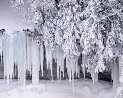Are you looking to escape to a winter wonderland scene this season? Winter Wonderland Dreamy Snow Scene Wallpaper 1280x1024 No 1