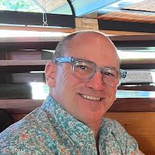 Boxer dogs' energetic behavior and jumping abilities