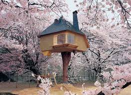 Fujimori is known as a modern eccentric with an architectural sensibility drawn from ancient japanese traditions and influences of le corbusier and claude nicolas ledoux. Terunobu Fujimori Built Fairy Tale Like Treehouse Among Cherry Blossoms In Japan