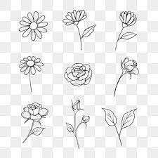 Pin On Flowers Png