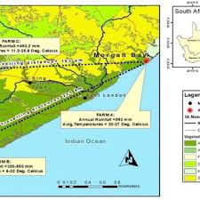 Image result for Enteropogon monostachyos