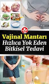 vajinal mantar neden olur belirtileri neler bitkisel tedavisi ne dogal saglik saglik urunleri saglik