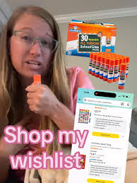 Teacher's birthday wishlist for classroom goose