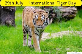 Last year, the day was observed online due to the novel coronavirus pandemic, but there was no lack of enthusiasm. Avd6hhknq8zanm