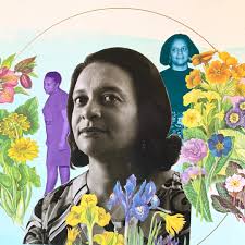 Stream episode Visions of Black Futurity Episode 1: Finding Kinship in the  Archive by Raw Material (SFMOMA) podcast