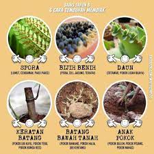 Sains tahun 3 unit 7: Nota Sains Tahun 3 Bab Smart Mind Home Centre Sibu Facebook
