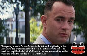 The Forrest Gump Feather Scene Was Entirely CGI