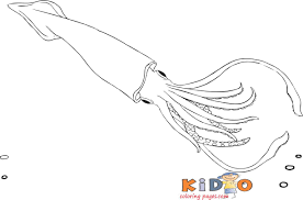Coloring pages are fun for children of all ages and are a great educational tool that helps children develop fine motor skills, creativity and color. Squid Colouring In Page For Kids Kids Coloring Pages