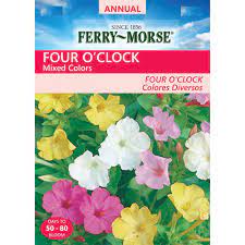 We did not find results for: Ferry Morse Four O Clock Mixed Colors Seed 1051 The Home Depot