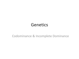 Codomiance in genetics refers to: Codominance Incomplete Dominance Ppt Download