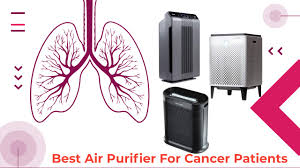 Let's look at the facts. Top 3 Best Air Purifier For Cancer Patients In 2021