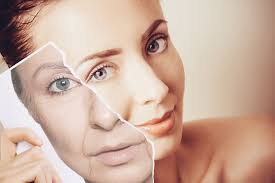 Experience Quality Lash & Brow Services Today