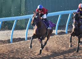 English español deutsch français 日本語 português 한국어. K0rqqcwj Pzoum