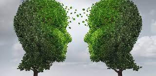 Trees help to clean the air we breathe. How Trees Communicate Via A Wood Wide Web