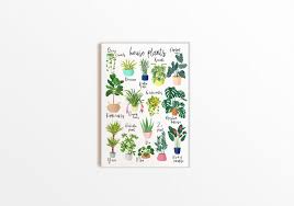 house plants poster illustrated house plant art print a4 art print botanical illustration plant poster alphabet poster plant art print art prints plant art