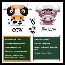 Cow S Milk Vs Buffalo S Milk Which One To Choose Cow S Milk Digestion Problems High Cholesterol Levels