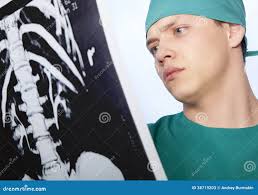 6,383 Ray Spine Stock Photos