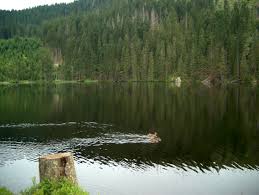 Společně s černým jezerem patří mezi nejzajímavější, a také nejtajuplnější šumavská jezera. Ubytovani Na Horach Jeseniky Sumava Krkonose A Dalsi Ceske Hory Nase Hory