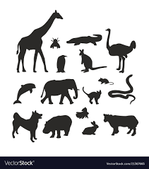 Bicg Set Of Animals Vector Image On Vectorstock Animals Animals Wild Animal Cartoon Video