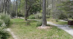 North Mills River Recreation Area Campground Pisgah Campgrounds Other amenities of mills river park include a dog park, playground with sunshade, swings, restroom facilities, picnic shelter, tennis/pickleball courts, handicapped accessible fishing pier, and canoe/kayak launch. north mills river recreation area