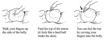 Antenatal Care Module 10 Estimating Gestational Age From