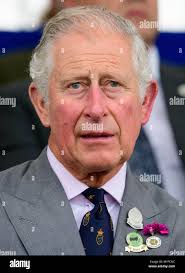Prince charles prince wales watches hi-res stock photography and images