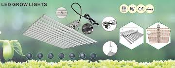 This grow light generates intense and brighter light for any plant in any growing phase. Luxint Super Bright Magic King Black Bloom Led Grow Lights For Container Auto Grow For Indoor Plants For Grow Tent Buy Black Dog Led Grow Lights King Bloom Led Grow Light Super Bright