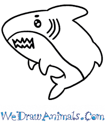 I try and go through it step by step. How To Draw A Cute Megalodon Shark