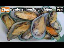 Jika hendak mengukus kerang, cukup kukus selama 30 menit saja. Tips Membersihkan Kerang Hijau Dari Serabut Kotorannya Dengan Benar Youtube