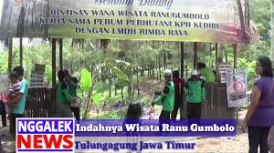 Der camping ist hier nicht zu kalt, stellen sie nur sicher, dass sie haben. Indahnya Wisata Ranu Gumbolo Tulungagung Youtube