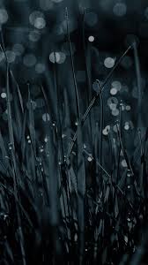 30 Rain Nature Wallpaper Hd For Mobile Basty Wallpaper Check out our best nature wallpaper collection.