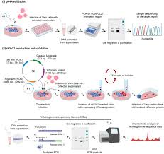 Image result for Herpes Simplex Virus Testing