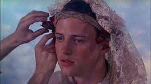 Hero, Horror, Homo - The Dark Beauty of Todd Haynes Poison