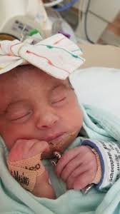 The Margot Jayne Memorial Fund