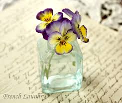 French Laundry Johnny Jump Up Pansies Violet Flower