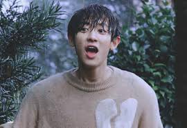 Pin Di Chanyeol