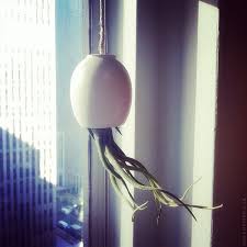 Var och en kommer också med en generös mängd hamprep för att hänga dem. It S Right Behind Me Door Sixteen