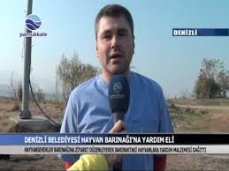 Denizli Buyuksehir Belediyesi Hayvan Barinagi Na Yardim Eli Youtube