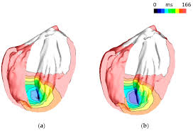 Schematic Representation Of Ion Channel Activities During The Cell... |  Download Scientific Diagram