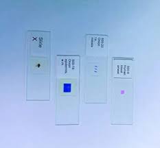 Check spelling or type a new query. United Scientific Supplies 100 182 Lily Meiosis First Meiotic Division Plant Cell Meiosis Prepared Microscope Slide Amazon Com Industrial Scientific