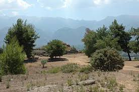 Troy eugene gore, 59, of sparta, passed away april 23, 2021, at his home. Sparta Wikipedia