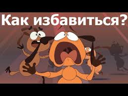 как избавиться от тли на вишне во время плодоношения Kak Izbavitsya Ot Muravev Effektivnoe Sredstvo Ot Muravev Youtube