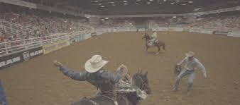 seating chart mesquite rodeo