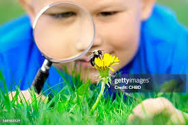 10,701 Young Child Bug Stock Photos, High-Res Pictures, and Images