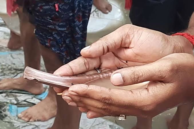 মহালয়া উপলক্ষে পিতৃপুরুষের উদ্দেশ্যে তর্পনের জন্য গঙ্গার ঘাটে ঘাটে লক্ষ্য করা গেল ভিড় | Mahalaya morning: On the occasion of Mahalaya crowd was noticed at the Ganges Ghats for ...