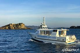 Excursions Bateau Dauphins Hyeres Sortie Rencontre Cetaces Dauphin Var 83