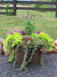 Pin By Khimaira Farm On Khimaira Farm Weddings Wine Barrel Planter Whiskey Barrel Planter Barrel Planter