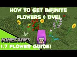 How to grow flowers in minecraft. Minecraft Infinite Flower Dye Farm Youtube