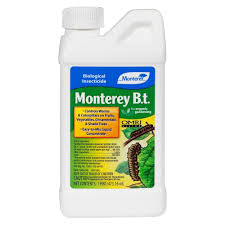 Organic pest control for fruit trees. Monterey B T Bacillus Thuringiensis Pint Concentrate Outdoor Organic Insecticide Lg6332 The Home Depot