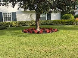 How do i know i am getting a fair price for handyman services work in sarasota? Master Tech Lawn Services 40 Photos Landscape Company 4511 Wilkinson Rd Sarasota Fl 34233